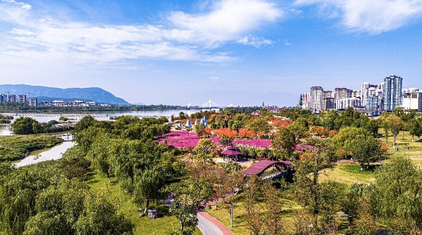 步入公園，仿佛走進(jìn)“色彩的世界”。王淦攝（資料圖片）